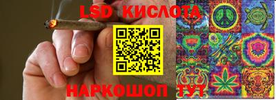 бошки Гагарин