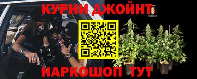 каннабис Гай