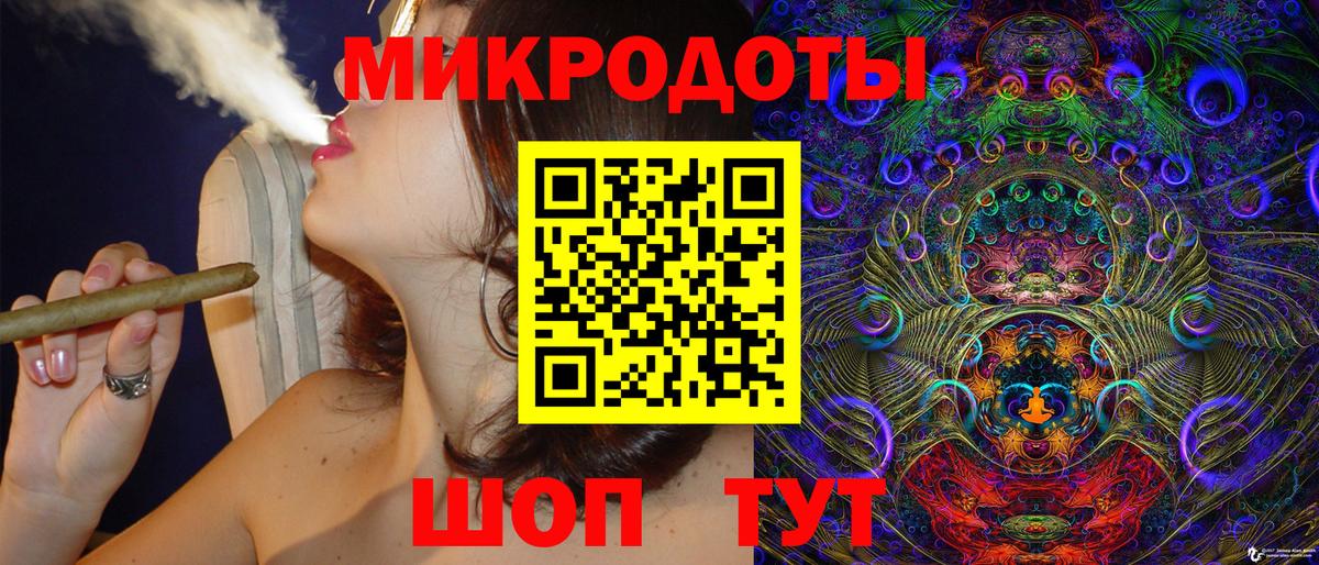 Галлюциногенные грибы Psilocybine cubensis Бутурлиновка